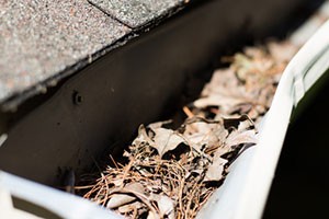 dead-leaves-in-house-gutter