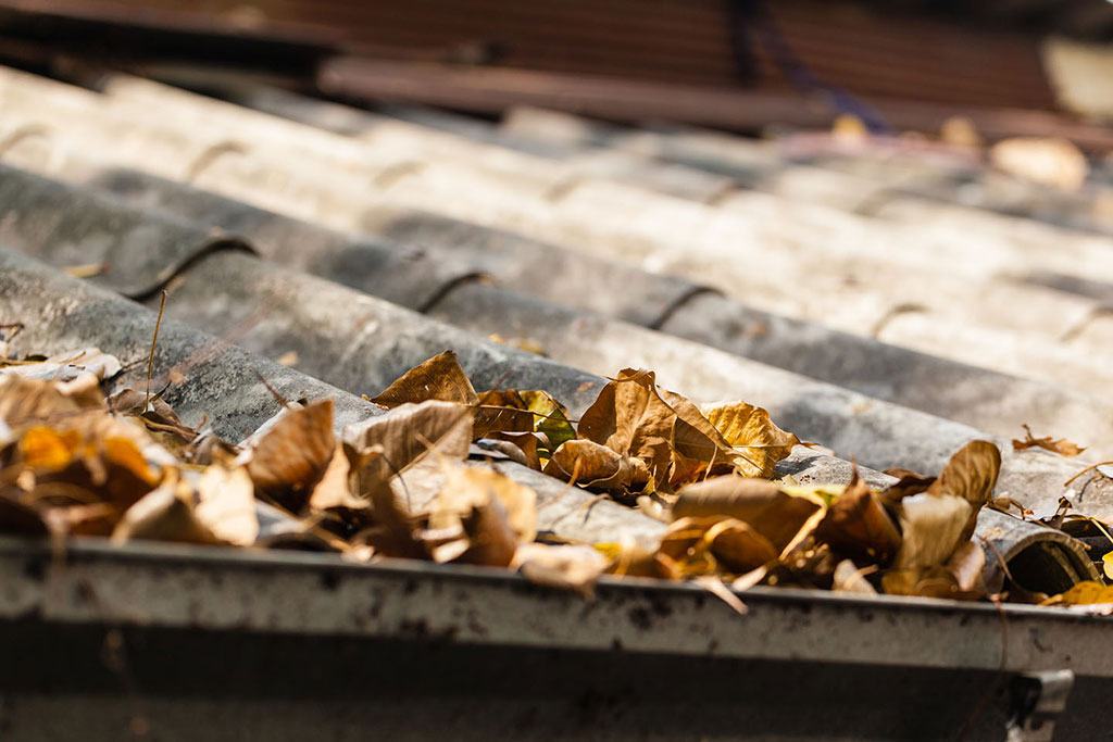 close-up-of-dry-leaves-blocking-house-gutter